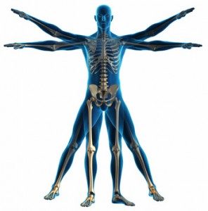 body-diagram-296x300