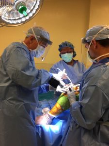 Dr. Haynes performing surgery